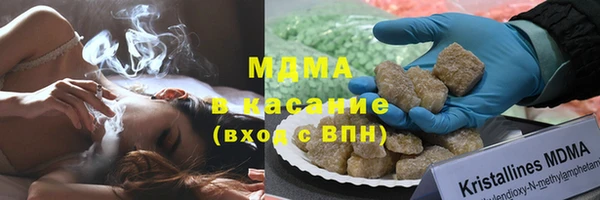 гашик Вяземский